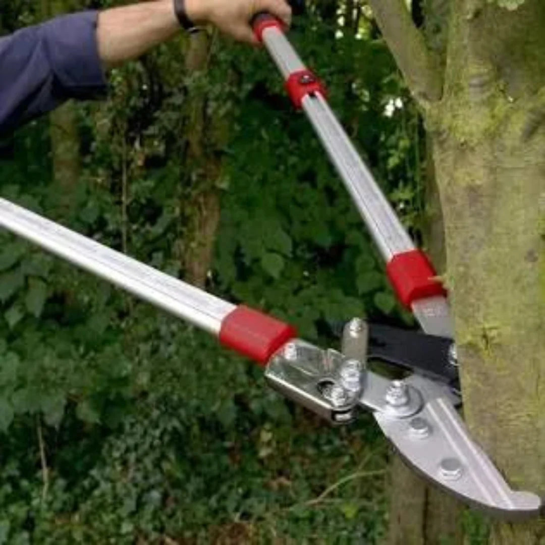 Telescoping Ratchet Lopper – Extended Reach Effortless Branch Cutting Tool