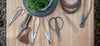 Bonsai Tools