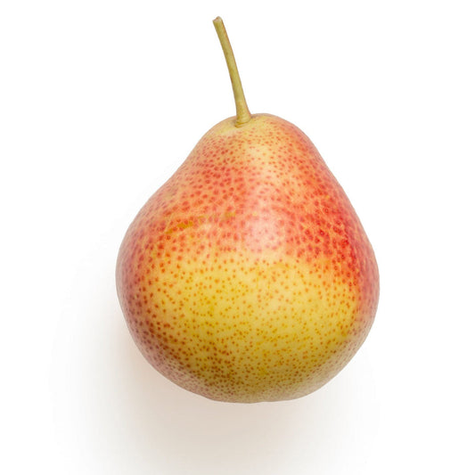 Pear tree fruit used for home orchard display