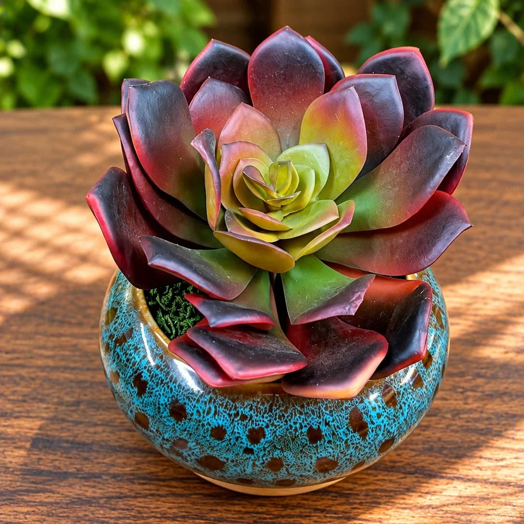 Artificial Burgundy Echeveria Succulent in Ceramic Pot