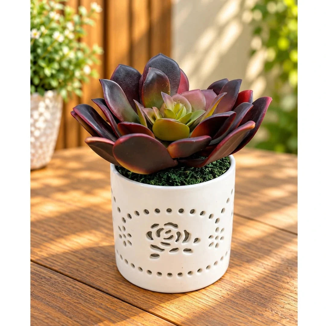Artificial Echeveria Succulent Plant in Ceramic Pot (Perfect Christmas Gift)