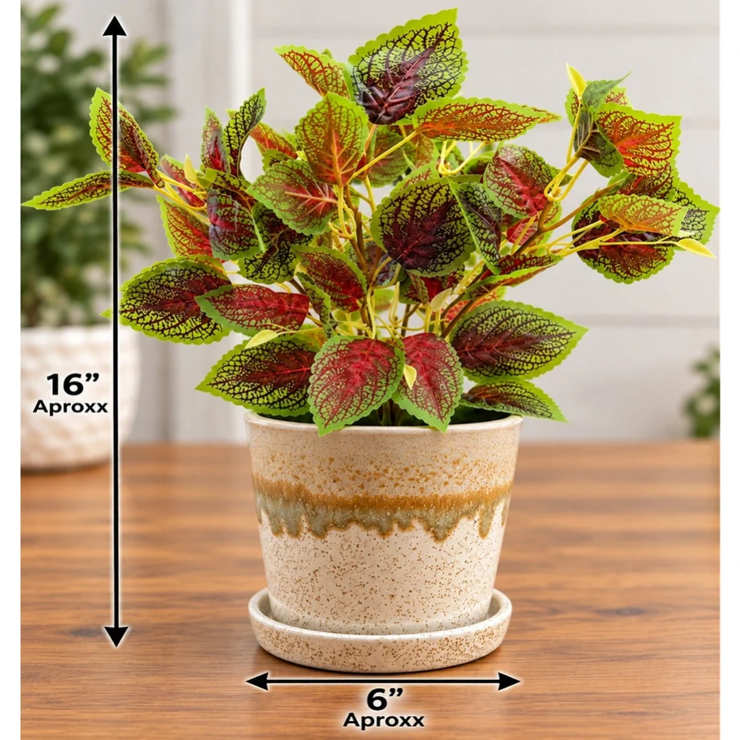 Artificial Coleus Plant in Decorative Ceramic Pot (Perfect Gift)