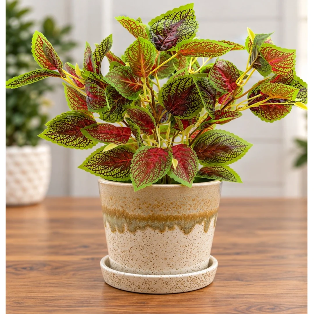 Artificial Coleus Plant in Decorative Ceramic Pot (Perfect Gift)