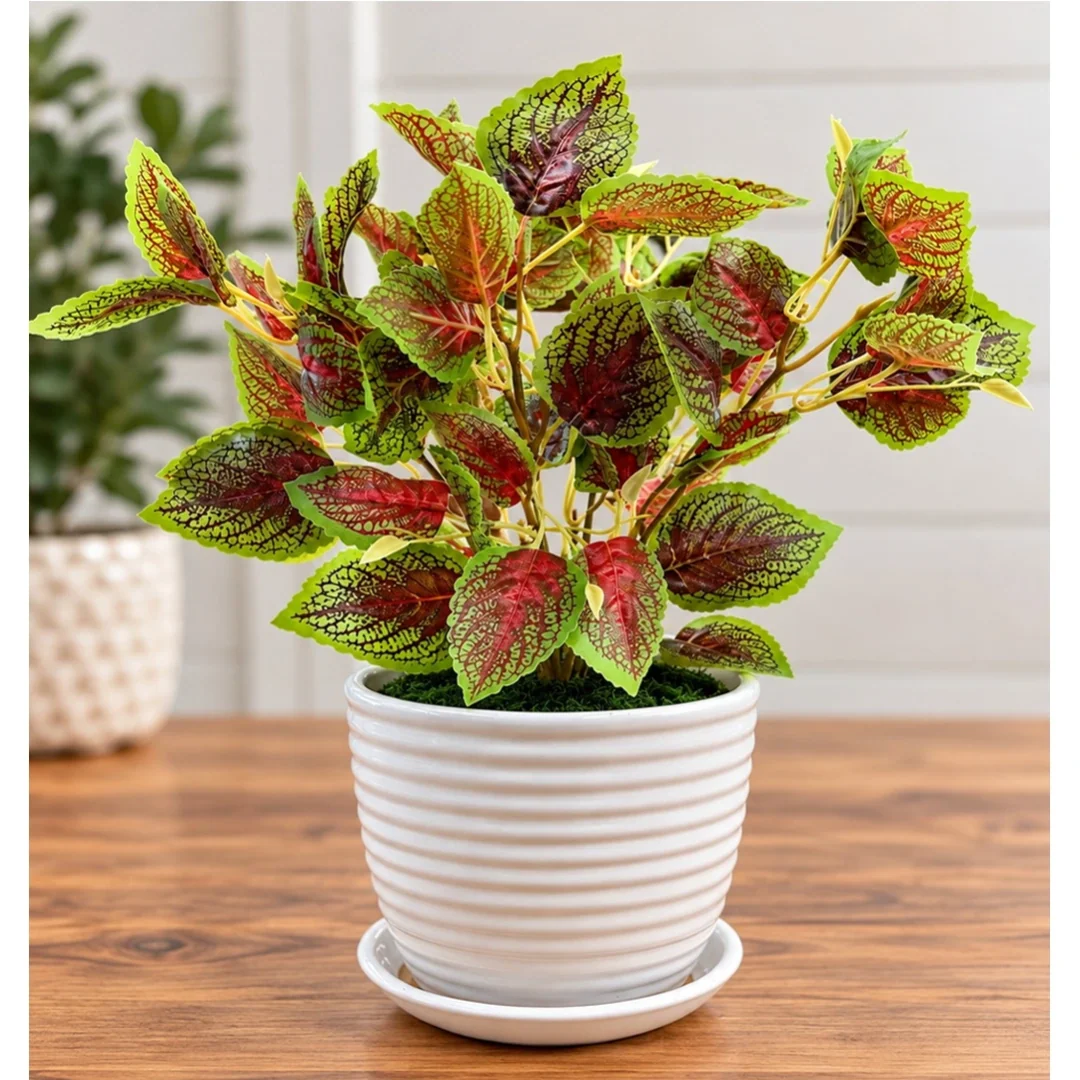 Artificial Coleus Plant in Decorative Ceramic Pot (Perfect Gift)