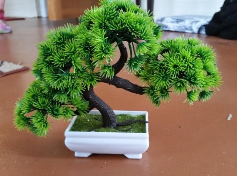 Gorgeous Bonsai with Very Attractive Pot in Green Color