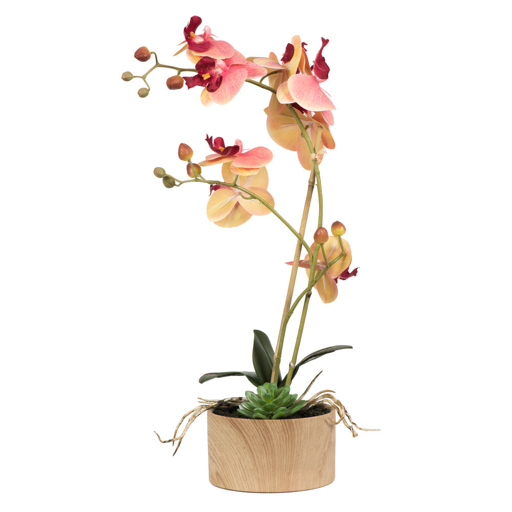 18 Inches Orchid Arrangement