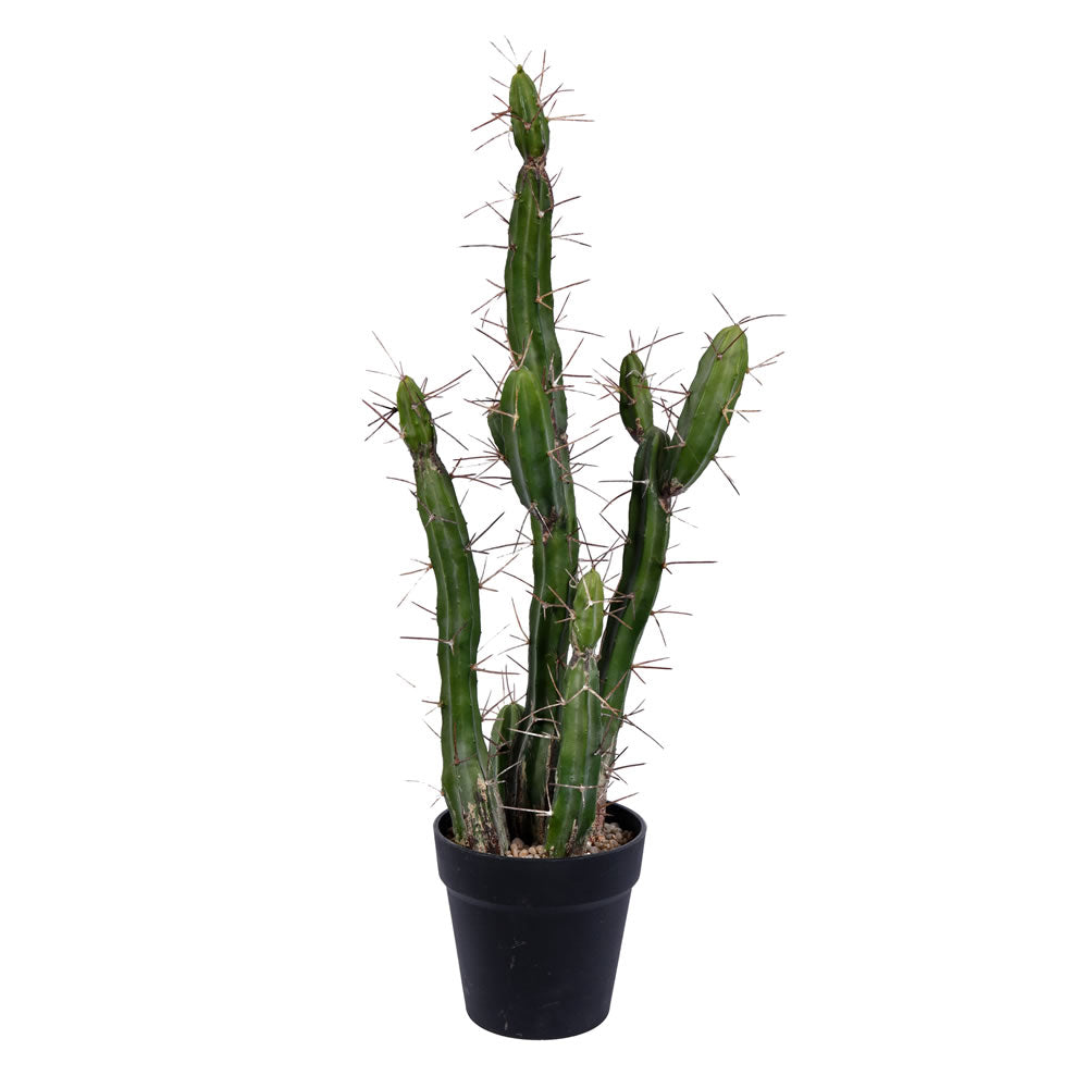 Artificial Plant : Green Potted Cactus