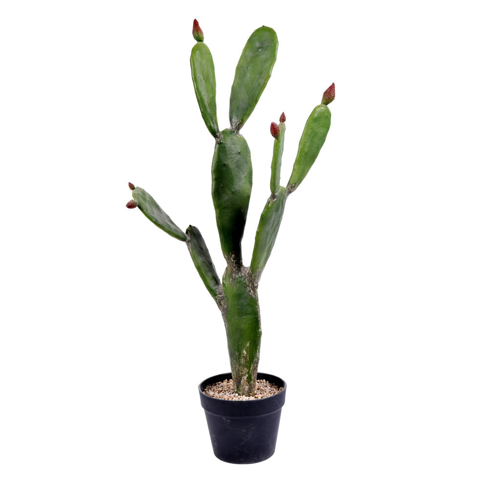 Artificial Plant: Green Potted Cactus