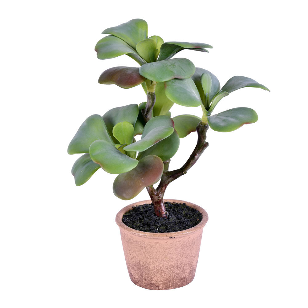 Artificial Plant : 14 Inches Green Potted Succulent
