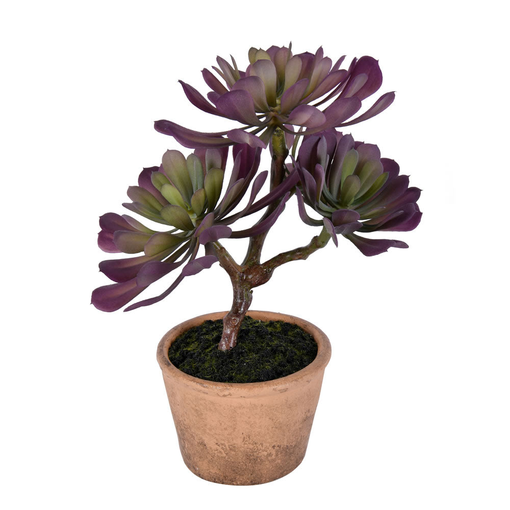 Artificial : Purple/Green Succulent in Paper Pot Online on Sale from HnG Nursery for trees & plants