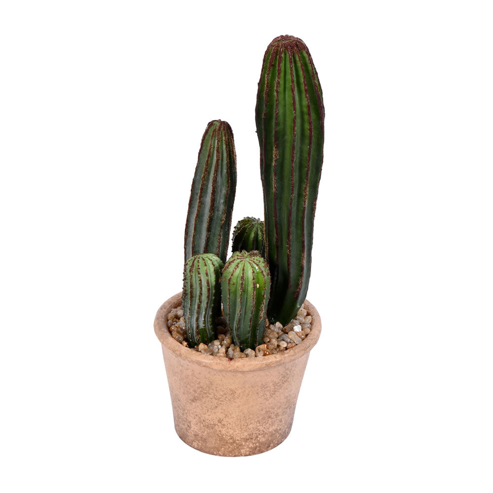 10.5 Inches Green Potted Cactus