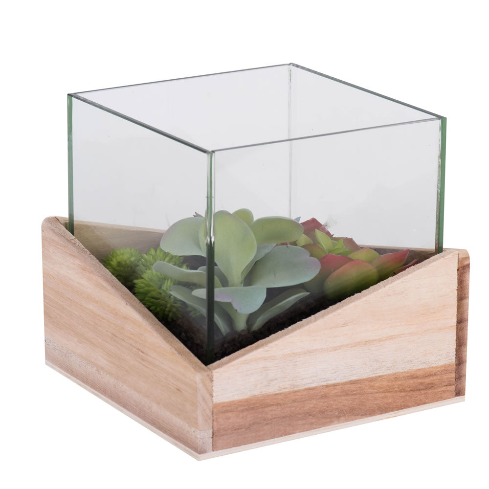 Artificial : Assorted Succulents in Glass Wood Online on Sale from HnG Nursery for trees & plants