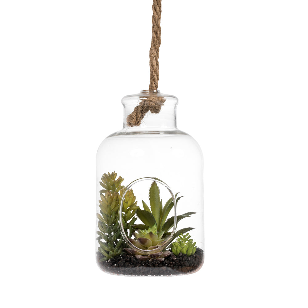 Green Assorted Succulents in Glass Jar
