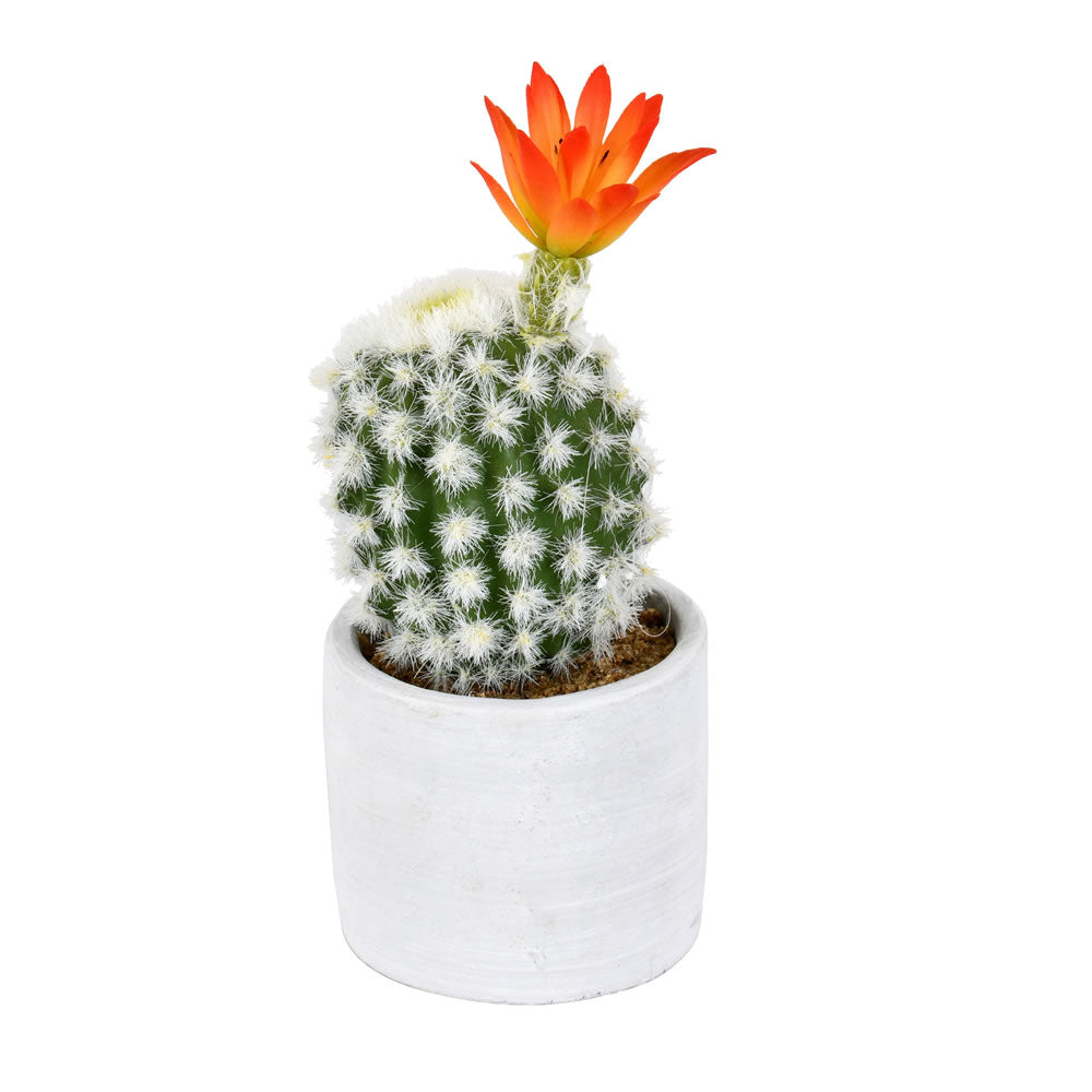 9 Inch Green Potted Cactus 2 Pack