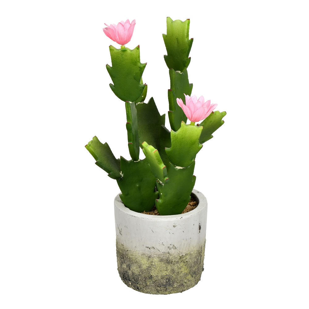 11 Inches Green Potted Cactus