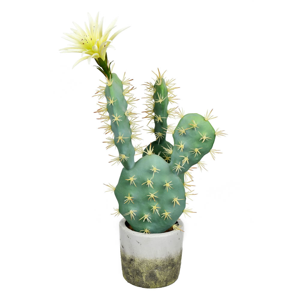 18 Inch Green Potted Cactus