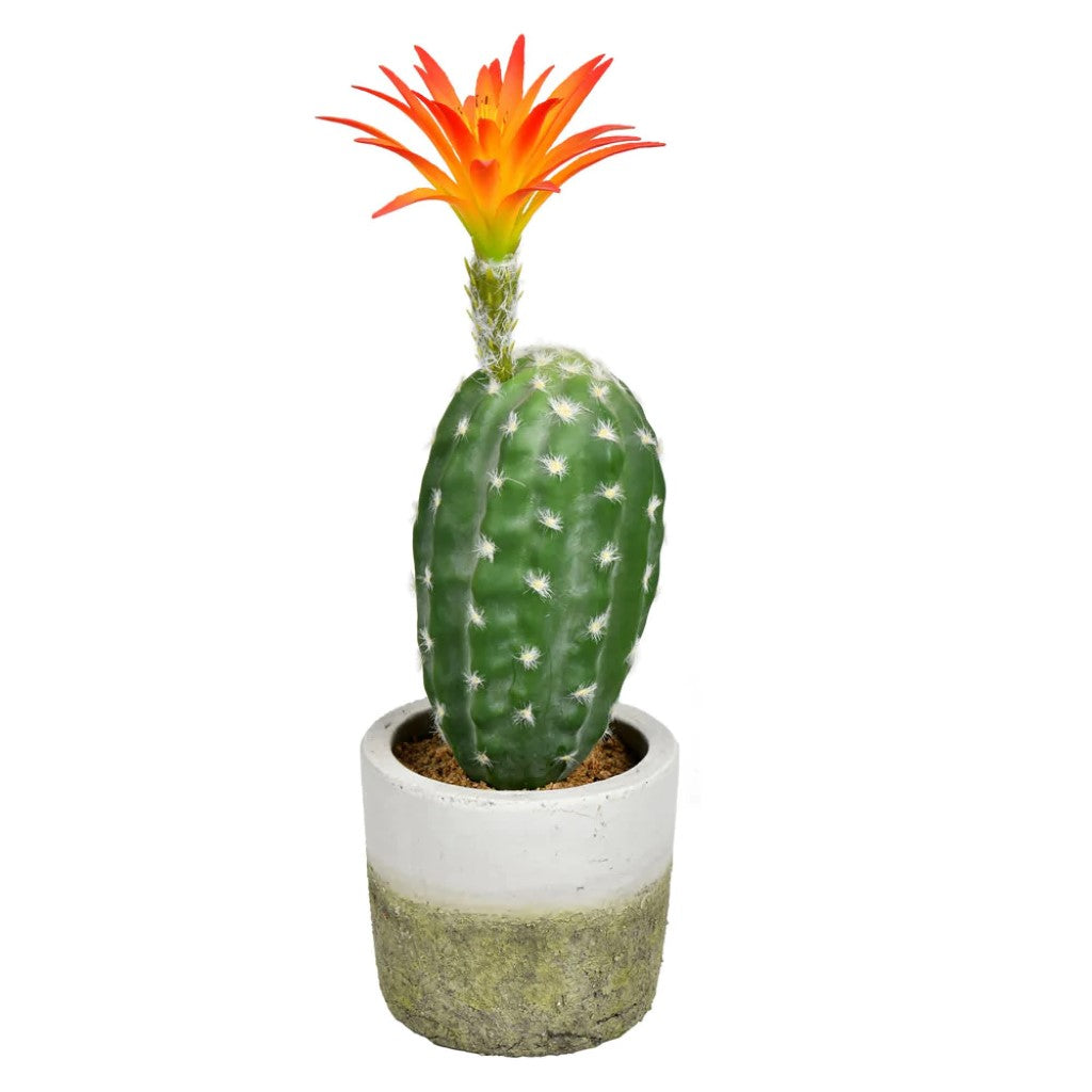 12 Inches Green Potted Cactus