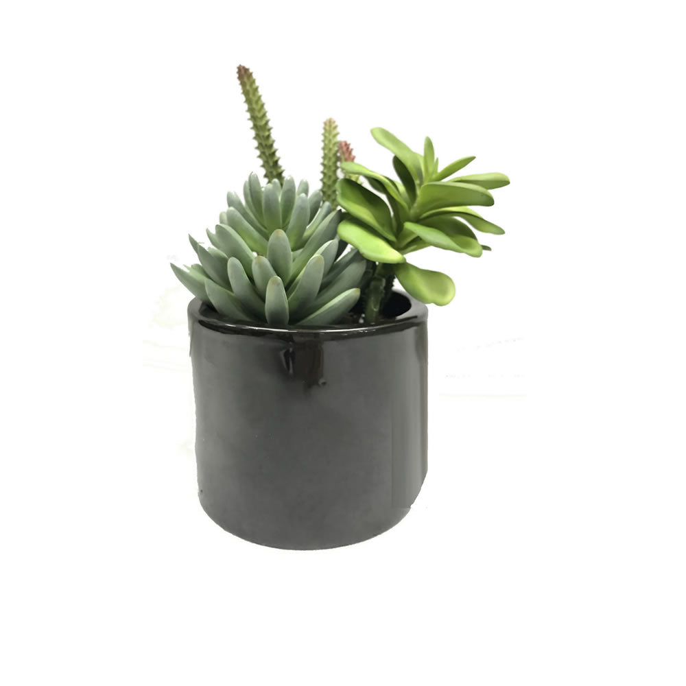 Artificial : Green Succulents in Cement Pot Online on Sale from HnG Nursery for trees & plants