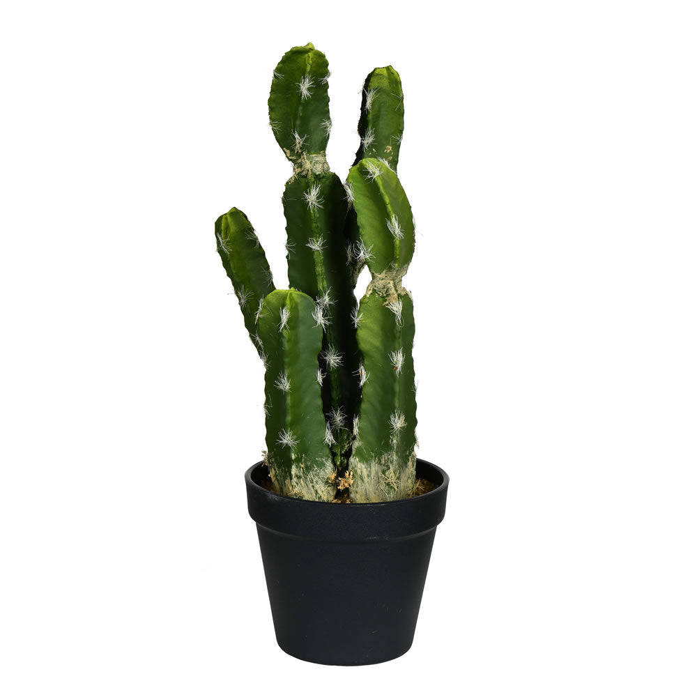 14 or 34 Inches Green Potted Cactus