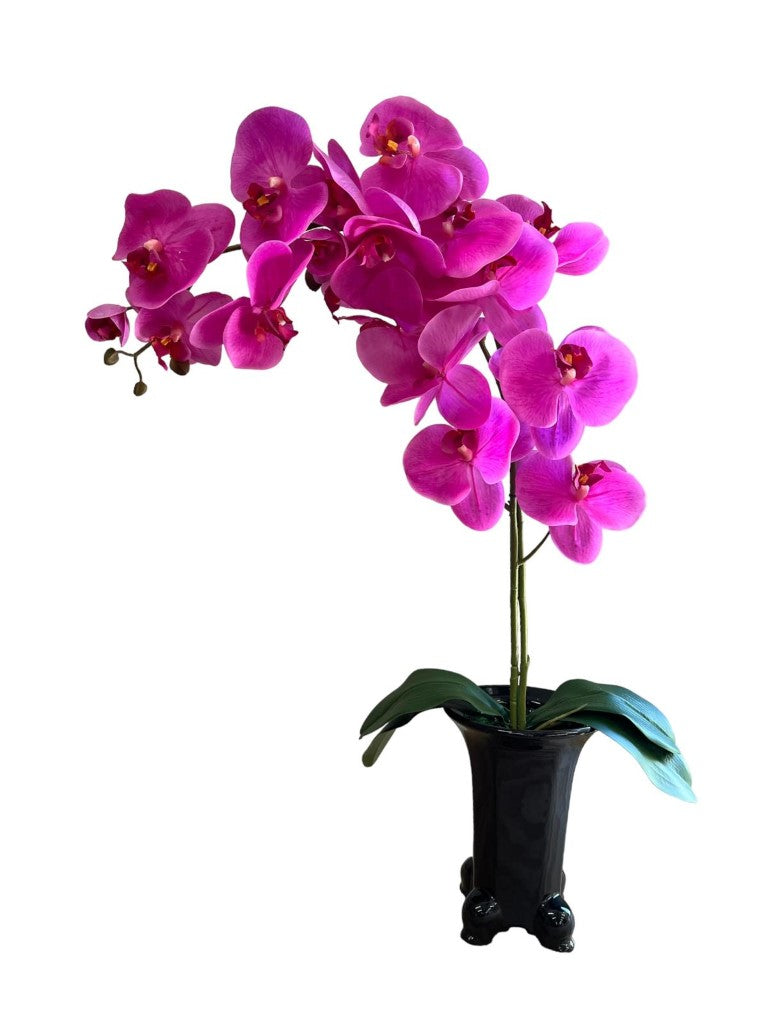 Stunning Orchids in Legged Pot-1