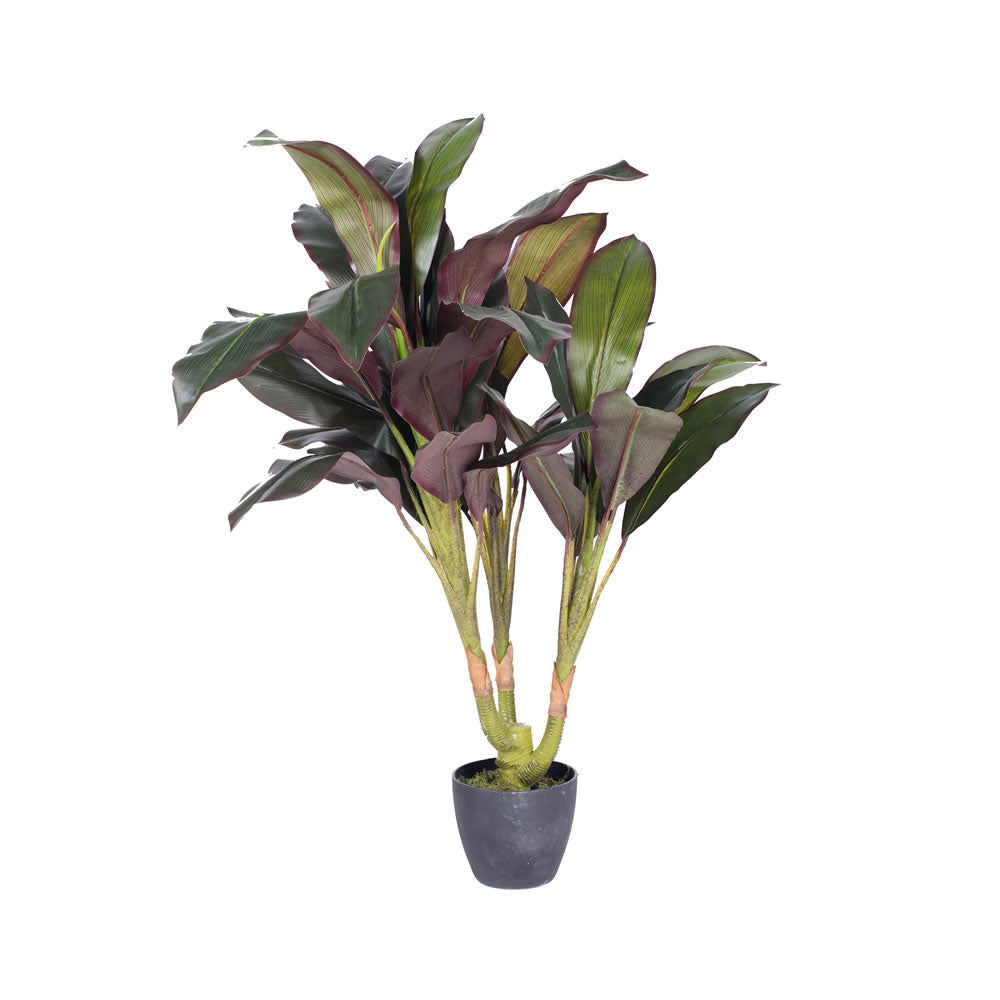Artificial Plant : Real Touch Dracaena in pot Online on Sale from HnG Nursery for trees & plants