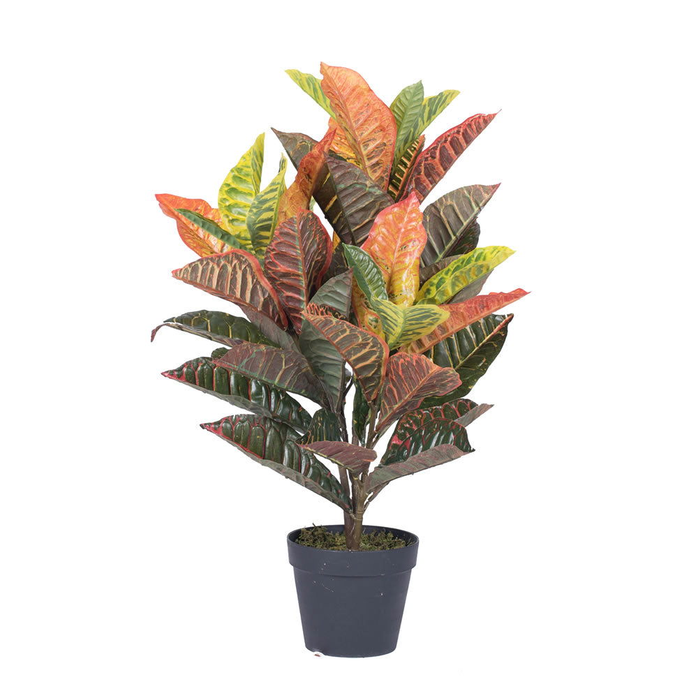 Artificial Plant : Potted Real touch croton
