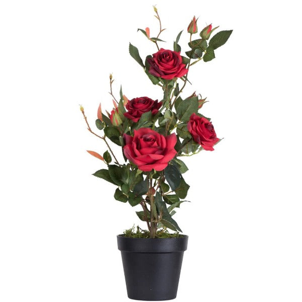 Artificial Plant : 21 Inches Rose Plant in Pot