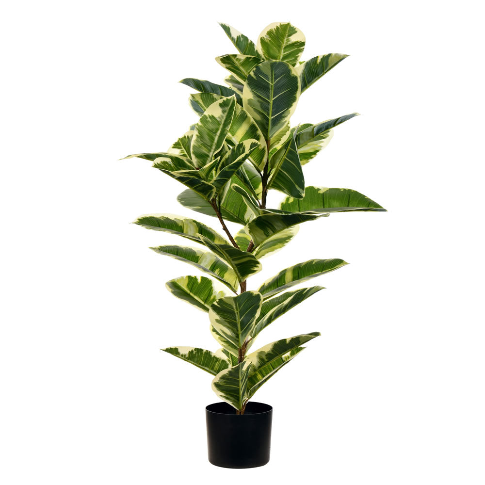 Artificial : Potted Dieffenbachia Real Touch Online on Sale from HnG Nursery for trees & plants