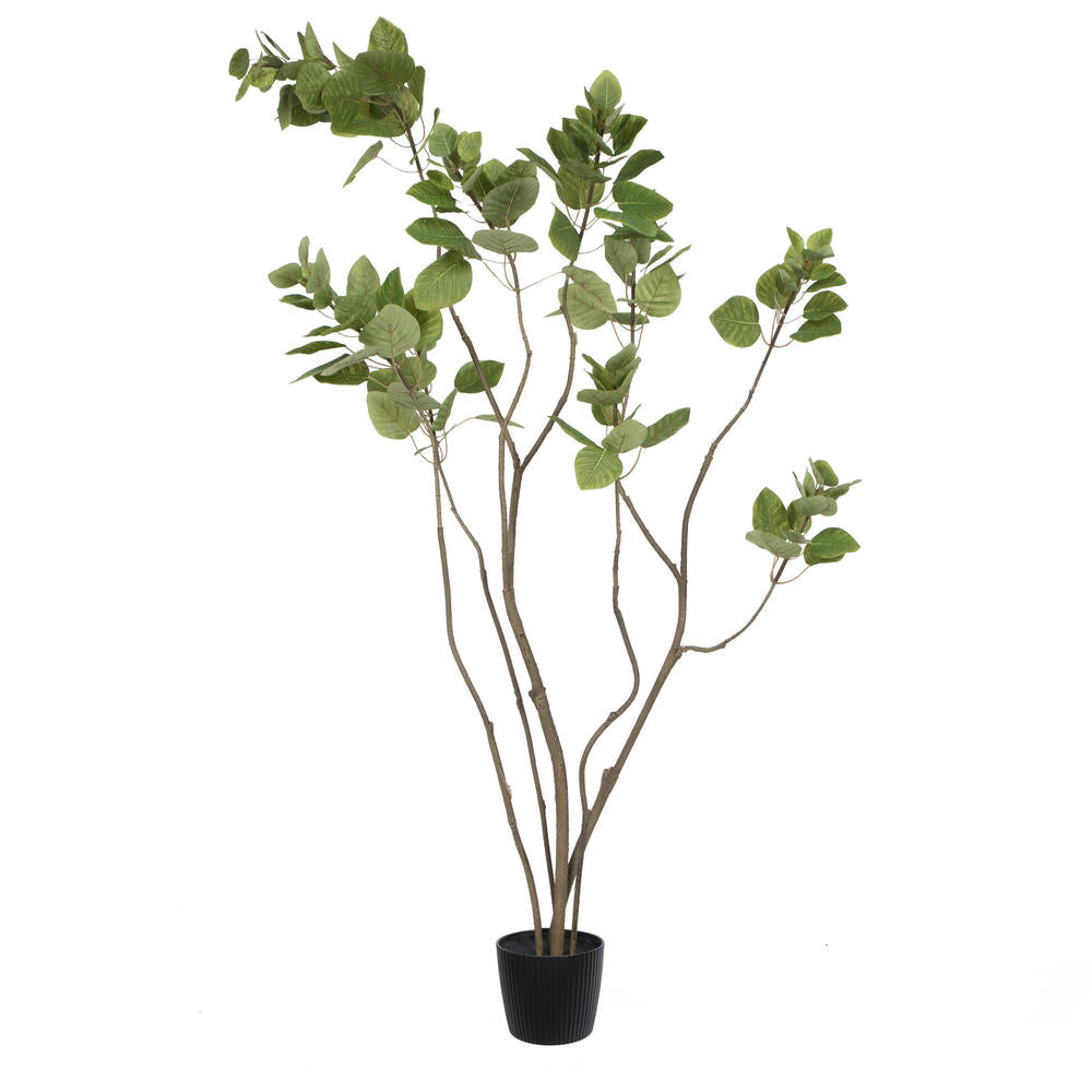 Artificial Plant : Potted Cotinus Coggygria Tree