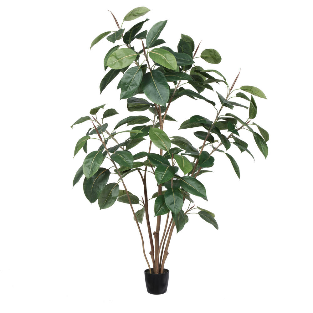 Artificial Plant : Potted Rubber Tree