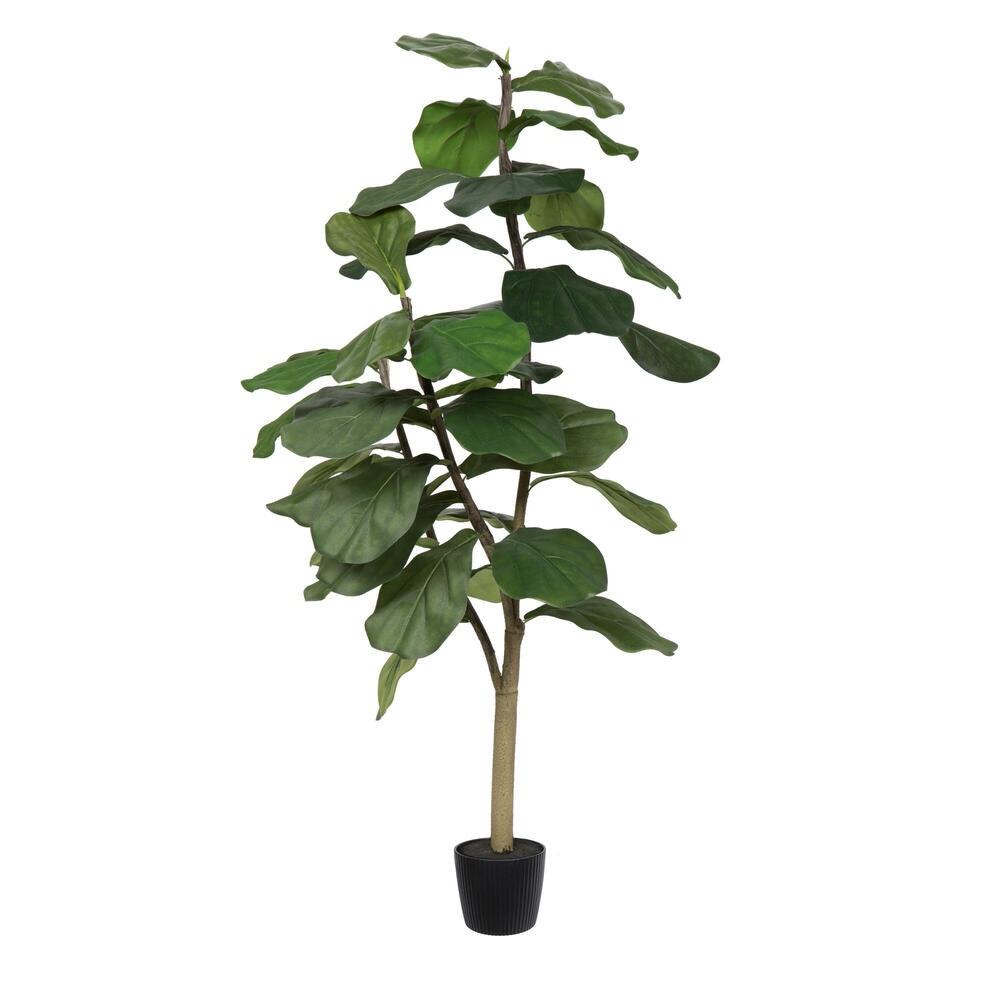 Artificial Plant : Potted Fiddle Tree