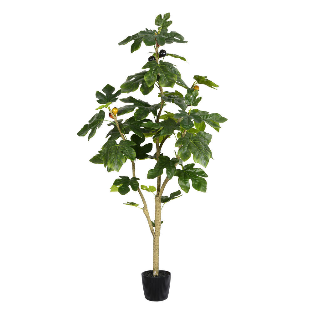 Artificial Plant : Potted Fig Tree