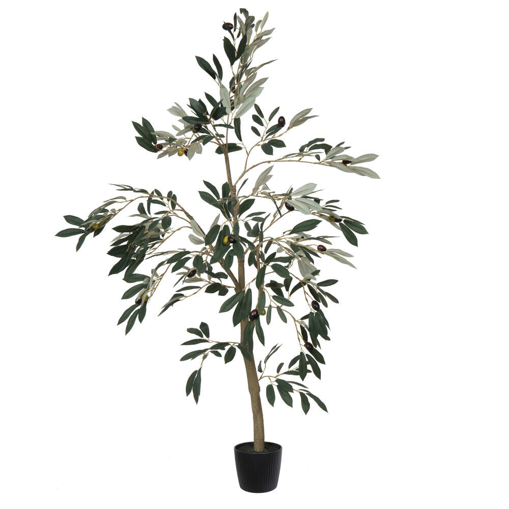 Artificial Plant : Potted Olive Tree