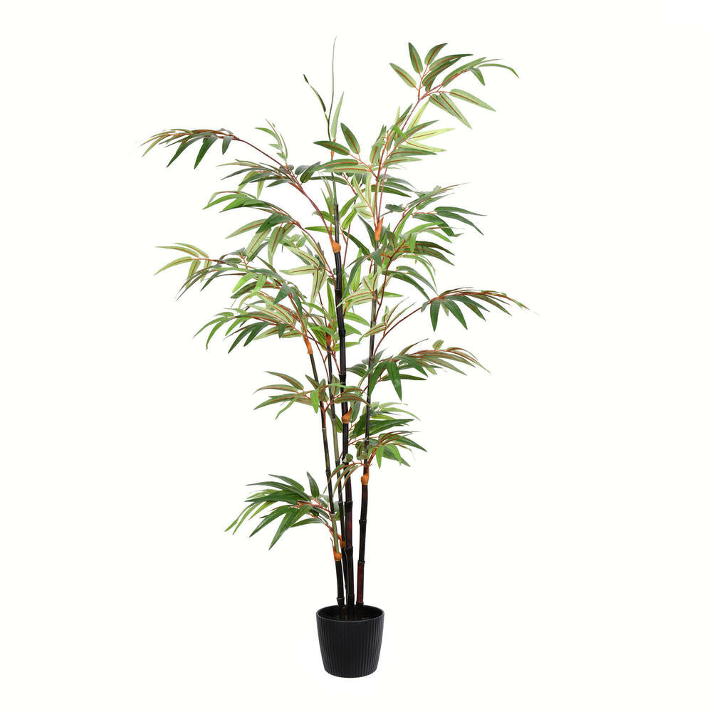 Artificial Plant : Potted Black Japanese Bamboo Tree
