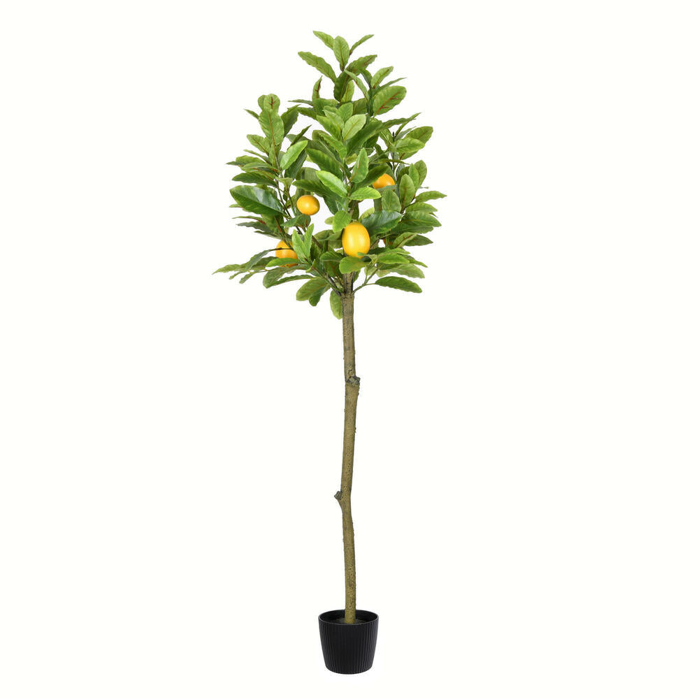 Artificial Plant : Potted Lemon Tree from Vickerman