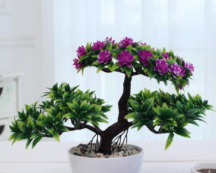 Gorgeous Bonsai Green Color with Very Attractive Pot-1